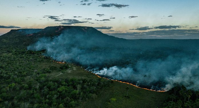 Soy Investigation in Brazil