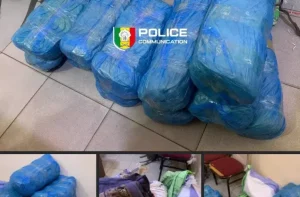 Fatick : saisie de 23 kg de chanvre indien dans la forêt de Pakala