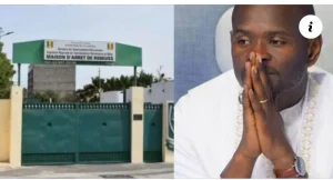 Stéph, le camerounais fait de graves déclarations sur Pape Cheikh Diallo