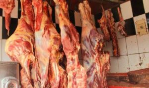 Saint-Louis : six personnes arrêtées après un abattage clandestin de bœufs à Pikine