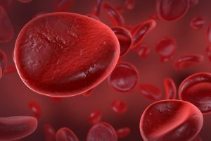 La leucémie…une maladie dégénérative en augmentation