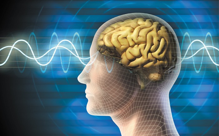 Méditer modifie l’anatomie du cerveau
