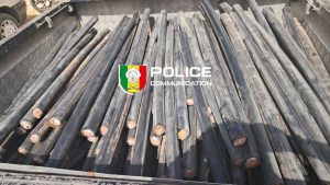 Tripano : un homme arrêté après un vol de câbles, ses complices en fuite