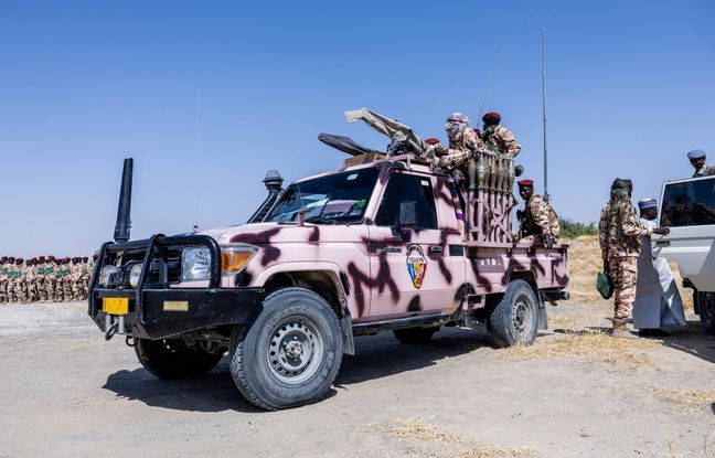Tchad : 23 militaires tués et 26 autres blessés dans une attaque de Boko Haram
