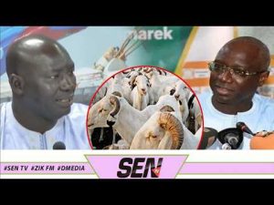 « Ministre de la Tabaski » : Thierno Diop tire à boulets rouges sur le ministre de l&rsquo;élevage !
