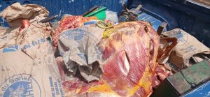 Touba : 358 personnes interpellées, plus de 12 kg de drogue et plusieurs armes saisis lors d’une vaste opération de la gendarmerie