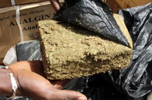 Sédhiou : importante saisie de 91 kg de chanvre indien par les forces antidrogue