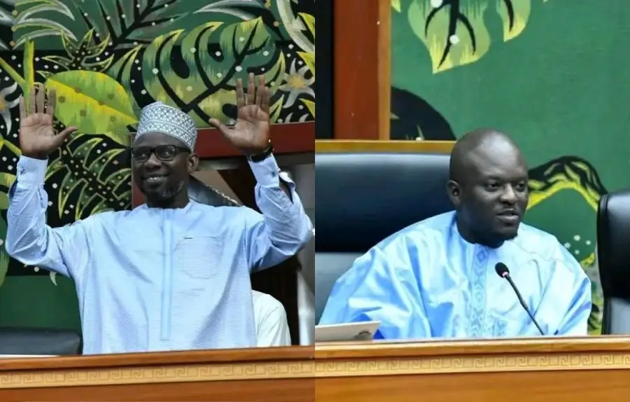 Assemblée nationale : Ismaïla Diallo et Cheikh Thioro démissionnent de leurs fonctions