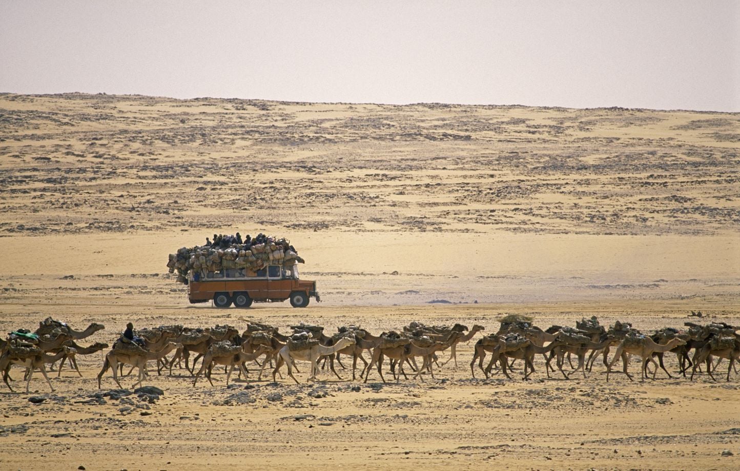 Niger : 49 personnes meurent de soif dans le désert à cause d’une panne de camion