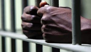 Diourbel : un homme d’une soixantaine d’années condamné pour une escroquerie de 17 millions FCFA