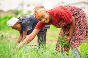 Entrepreneuriat féminin, le défi du financement