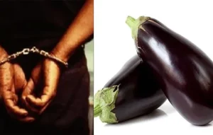 Vol d’aubergines à Cayar : deux mois de prison ferme pour le prévenu