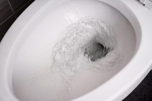 Microbes : que se passe-t-il quand on tire la chasse d’eau ?