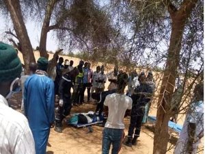Kébémer : un berger de 17 ans tué à coups de machette